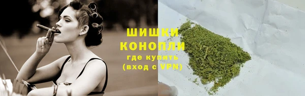 Альфа ПВП Пересвет