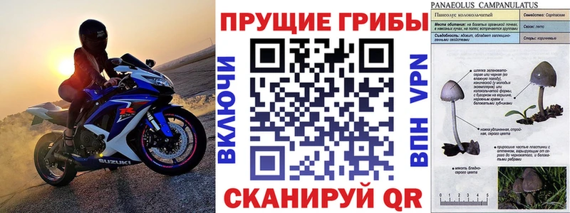 Купить где  Чита  Галлюциногенные грибы MAGIC MUSHROOMS 